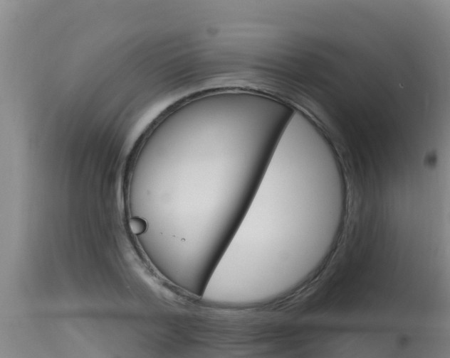 X0000115670788200911121005