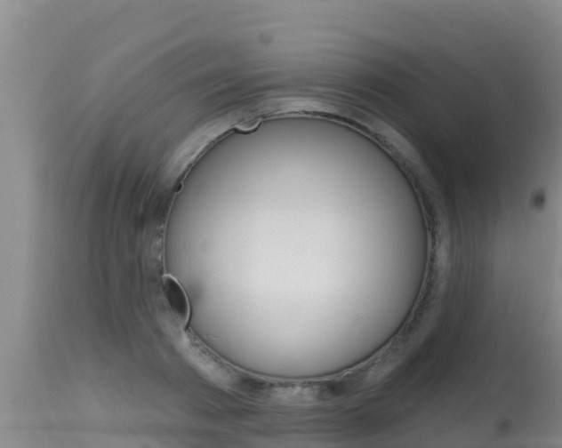 X0000115670793200911121005