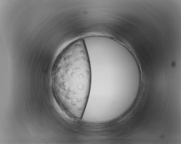 X0000115670795200911121005