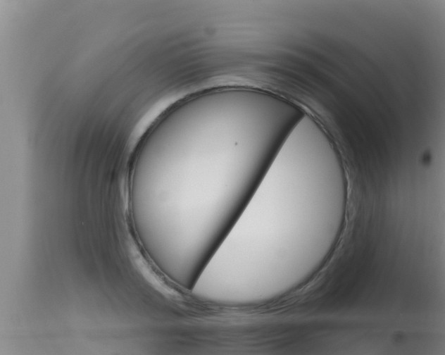 X0000115670796200911121005