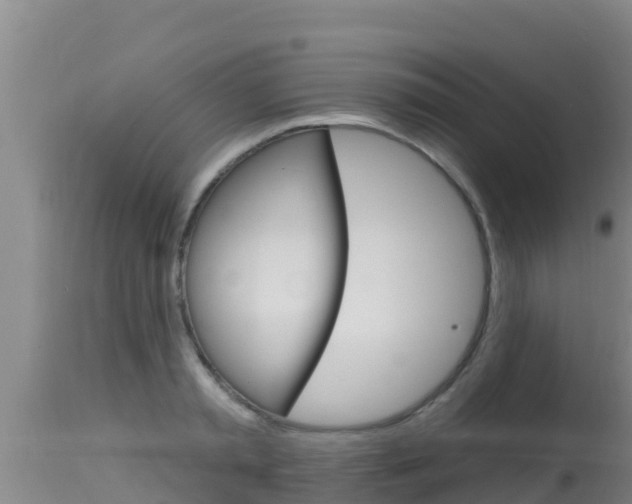 X0000115670797200911121005