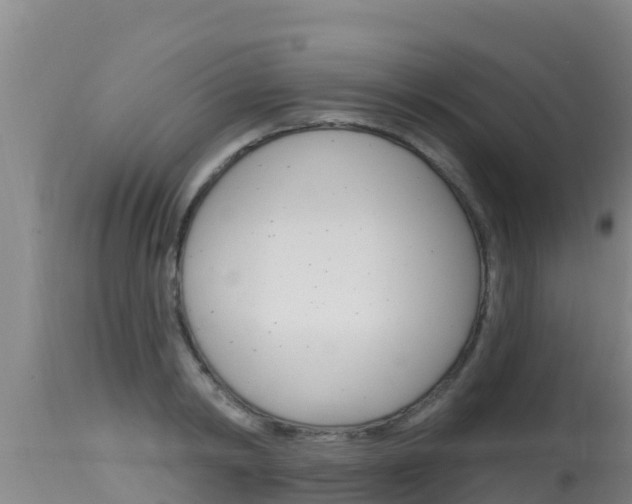 X0000115670798200911121005