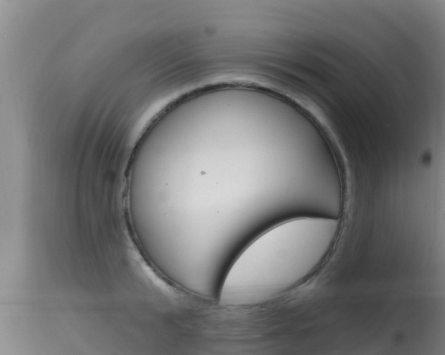 X0000115670799200911121005
