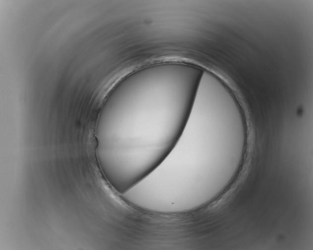 X0000115670801200911121005
