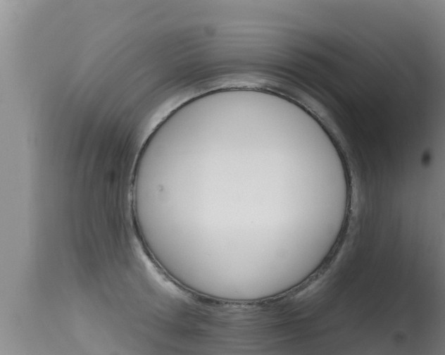 X0000115670802200911121005