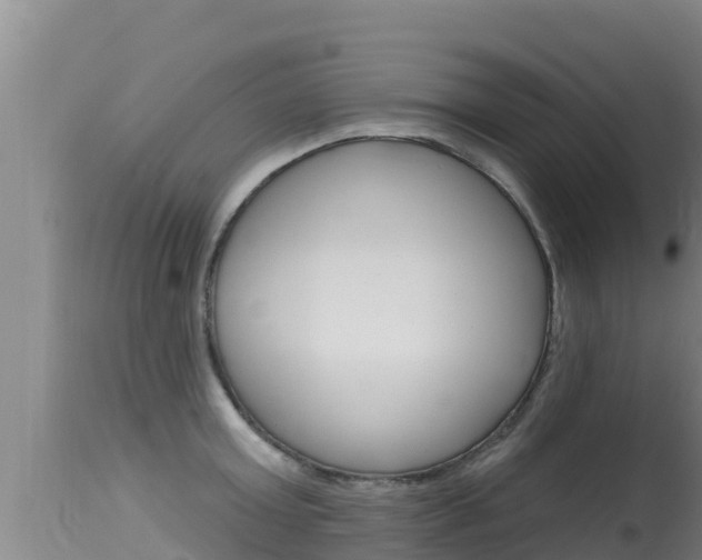 X0000115670803200911121005