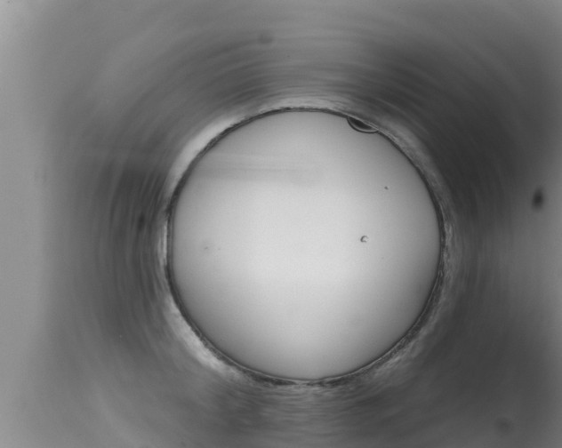 X0000115670804200911121005