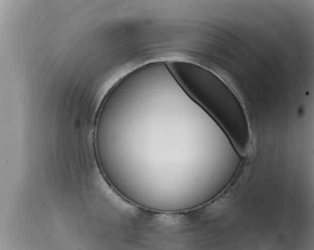 X0000115670805200911121005