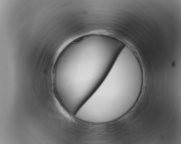 X0000115670808200911121005