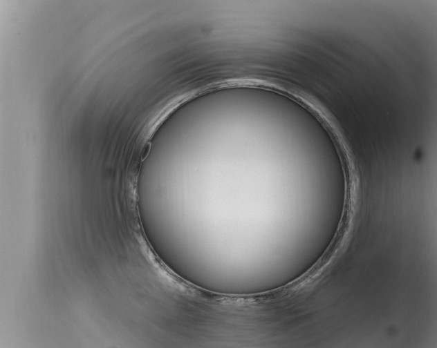 X0000115670809200911121005