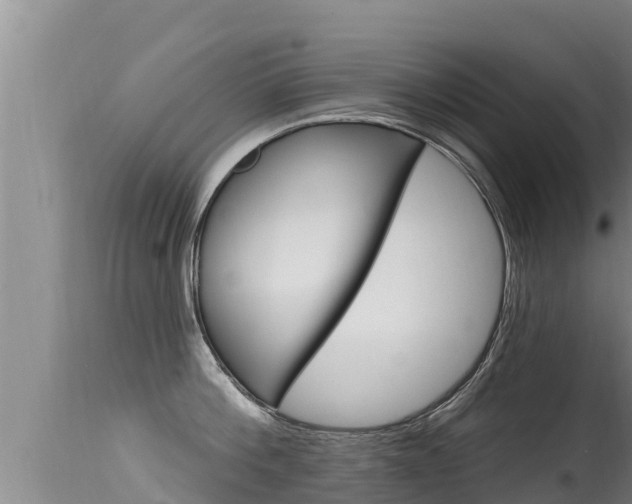 X0000115670812200911121005