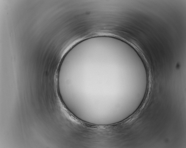 X0000115670814200911121005