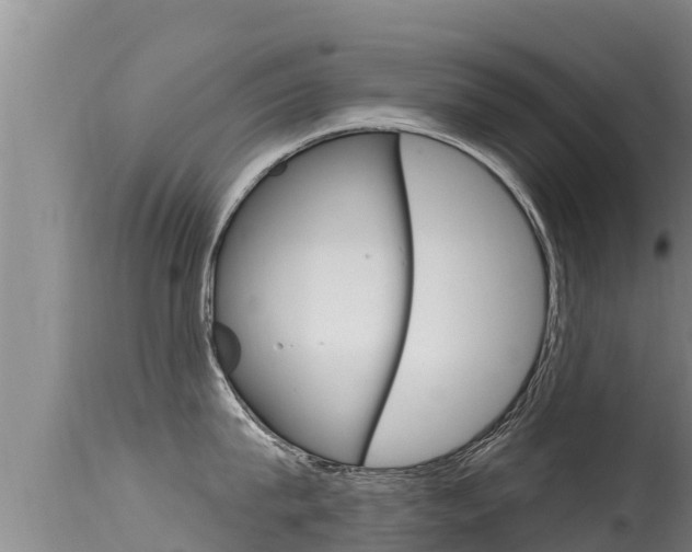 X0000115670815200911121005