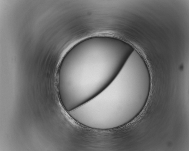 X0000115670816200911121005