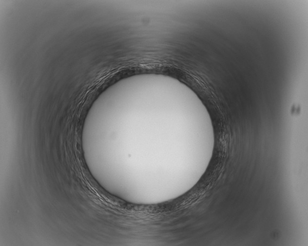 X0000115670817200911121004