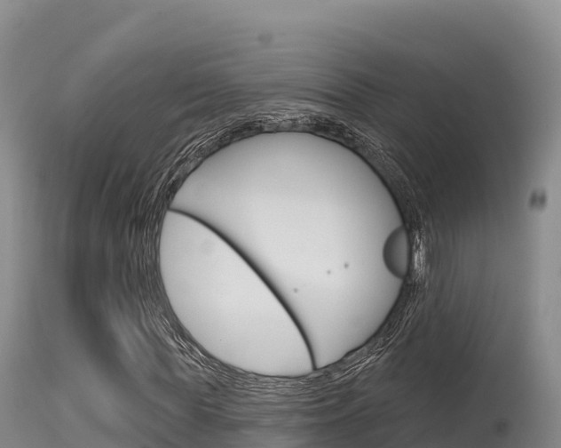 X0000115670819200911121004