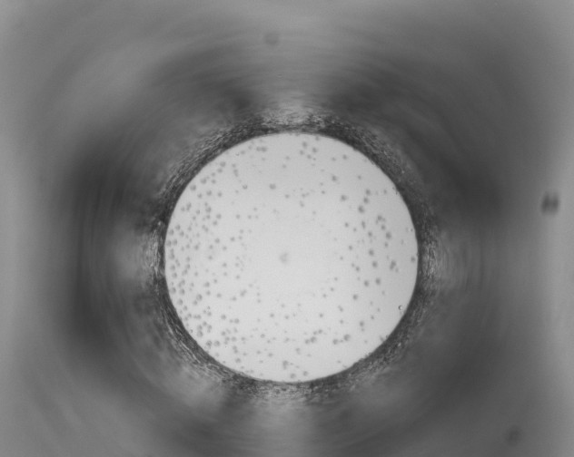X0000115670820200911121004