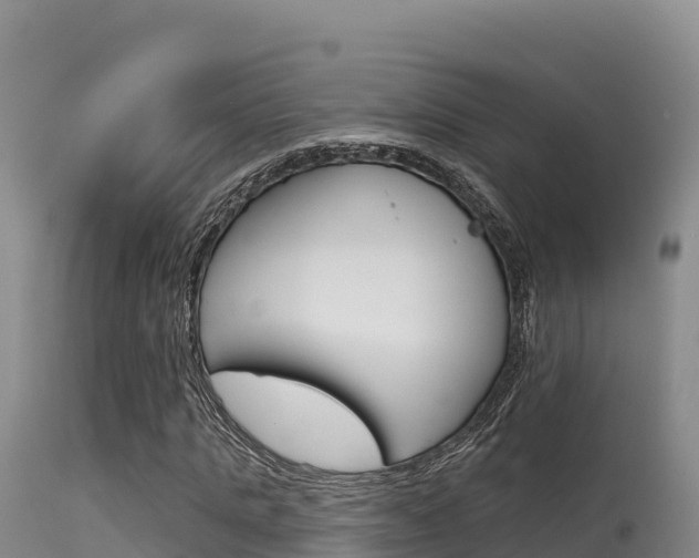 X0000115670821200911121004