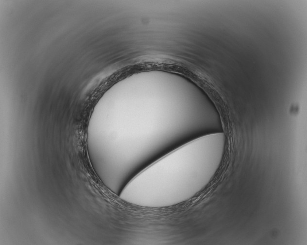 X0000115670822200911121004