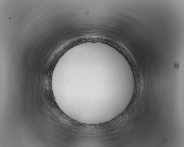 X0000115670823200911121004