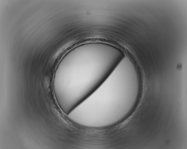 X0000115670826200911121004