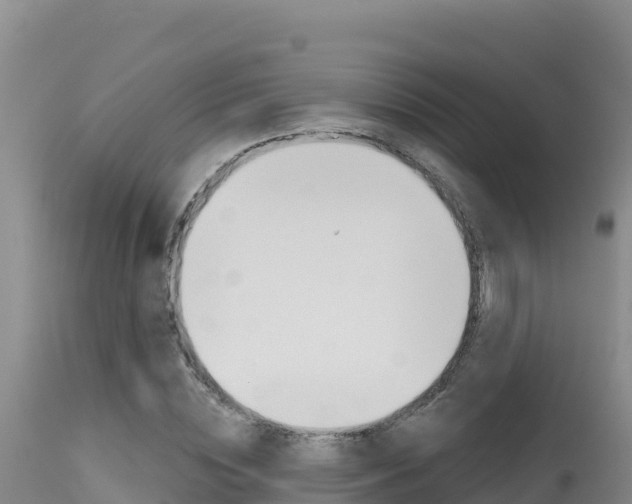 X0000115670828200911121005