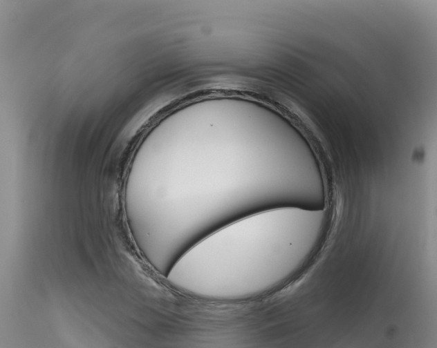 X0000115670829200911121005