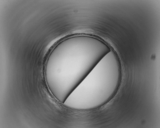 X0000115670830200911121005