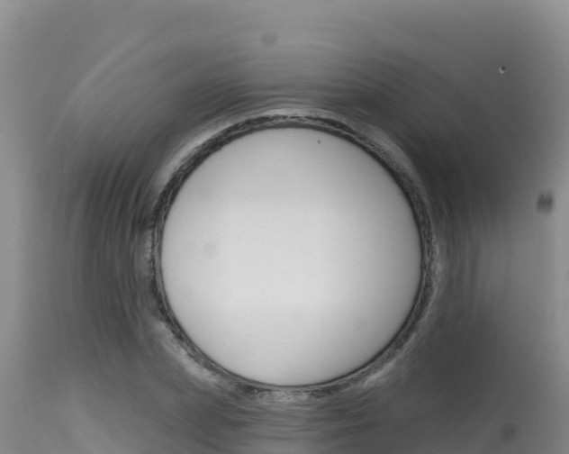 X0000115670831200911121005