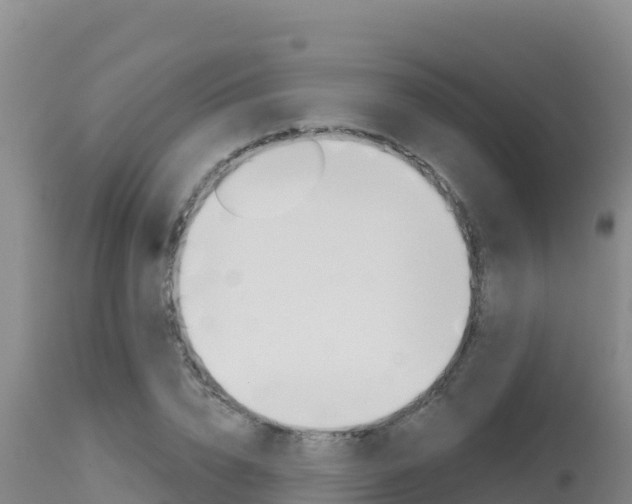X0000115670832200911121005