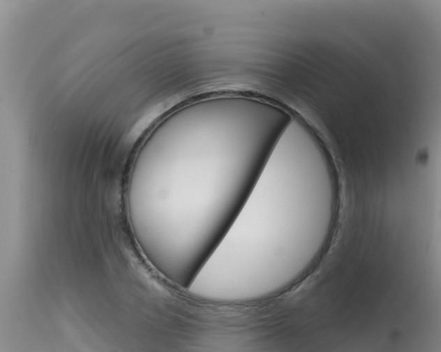 X0000115670834200911121005