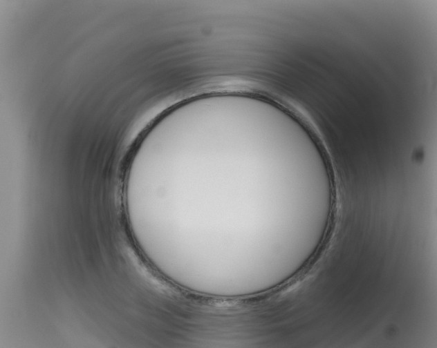 X0000115670835200911121005