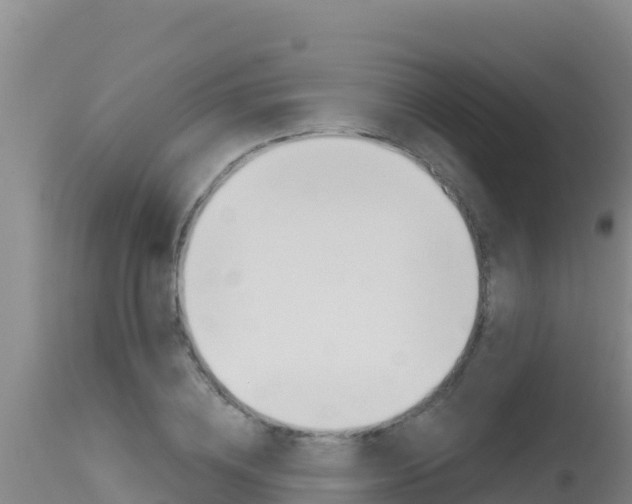 X0000115670836200911121005