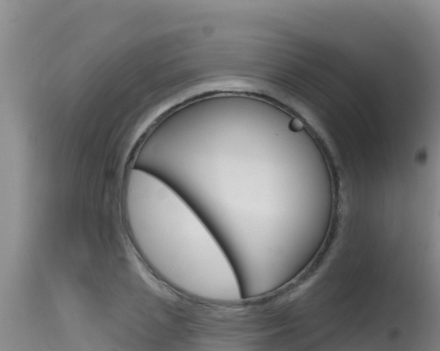 X0000115670837200911121005