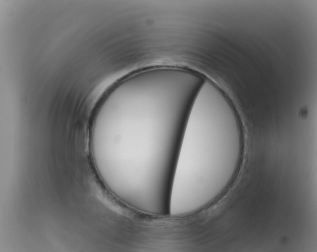X0000115670838200911121005