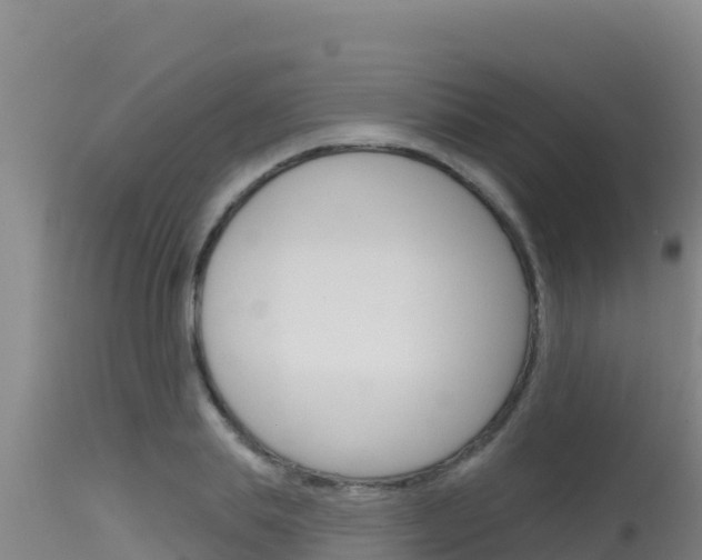 X0000115670839200911121005
