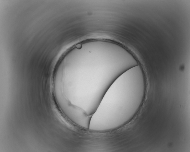 X0000115670840200911121005