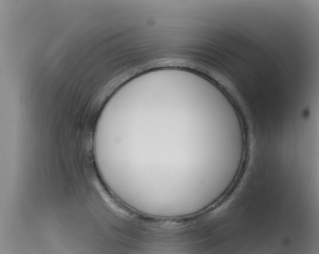 X0000115670841200911121005