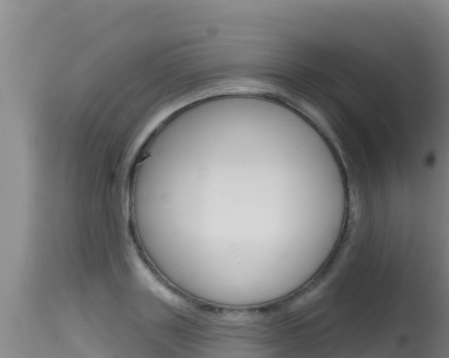 X0000115670843200911121005