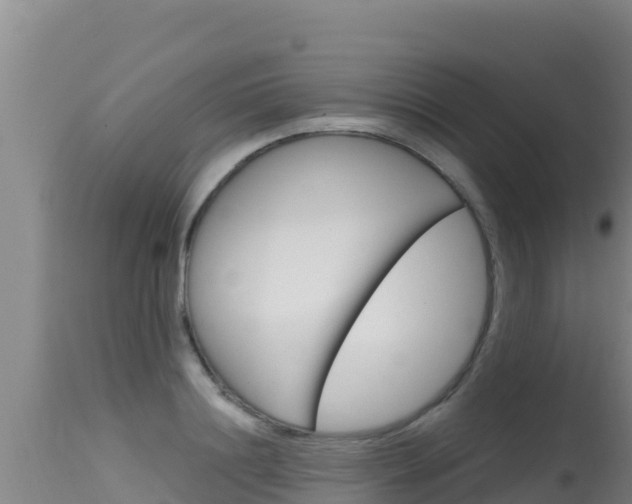 X0000115670844200911121005