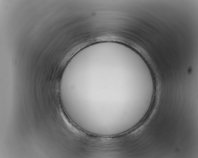 X0000115670849200911121005