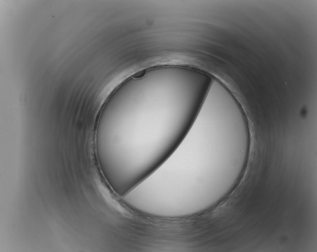 X0000115670850200911121005