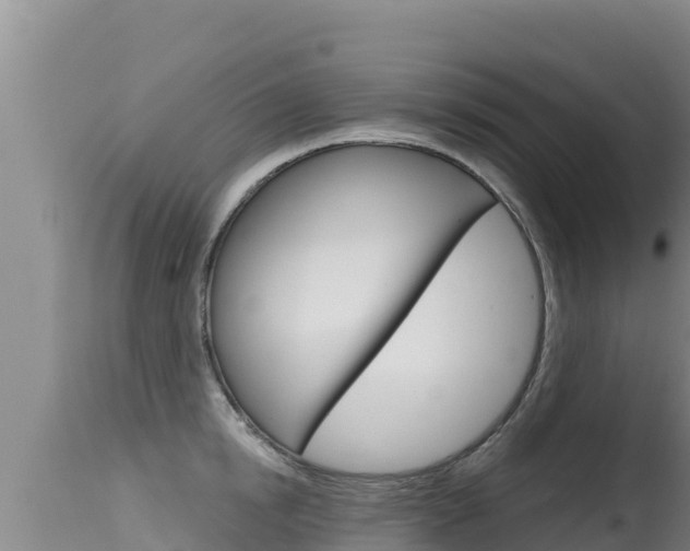 X0000115670854200911121005