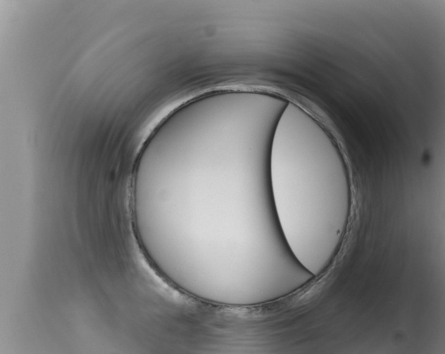 X0000115670855200911121005