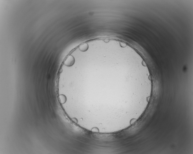 X0000115670856200911121005