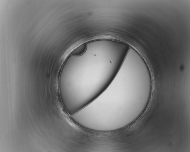 X0000115670858200911121005