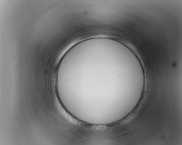 X0000115670859200911121005