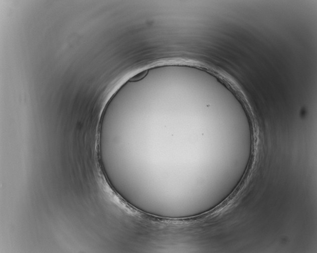 X0000115670860200911121005
