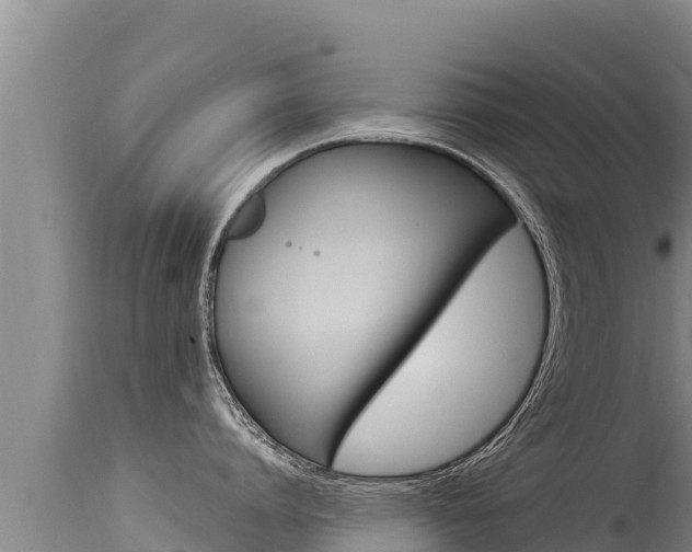 X0000115670864200911121005