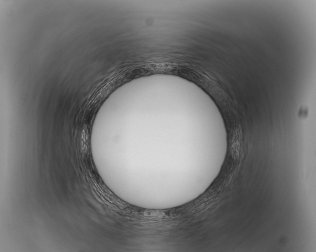 X0000115670866200911121004